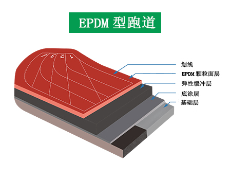 EPDM型跑道施工解剖图