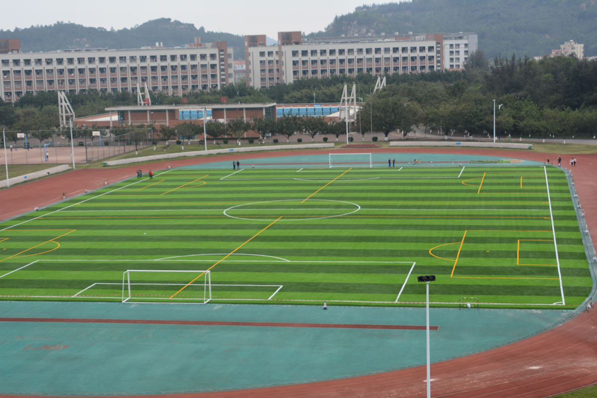 崭新的人造草坪足球场