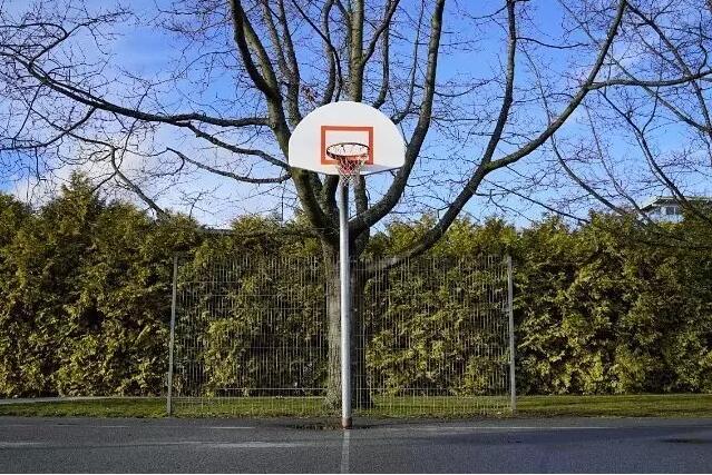 大树下躲雨的篮球场